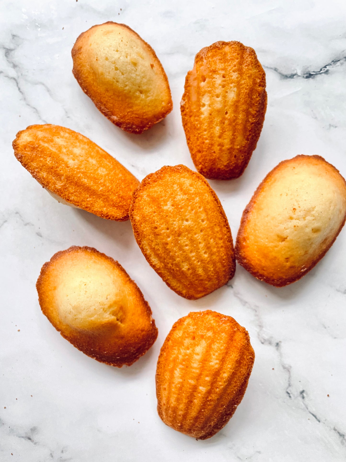 Madeleines Gift Box - Box of 20 Madeleines