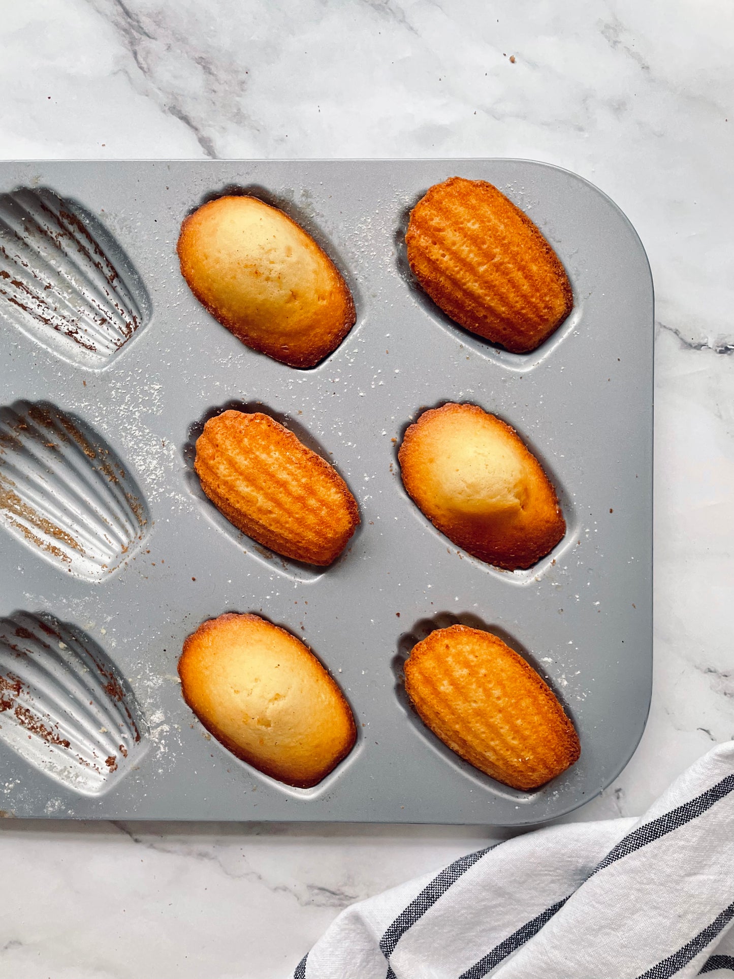 Madeleines Gift Box - Box of 9 Madeleines