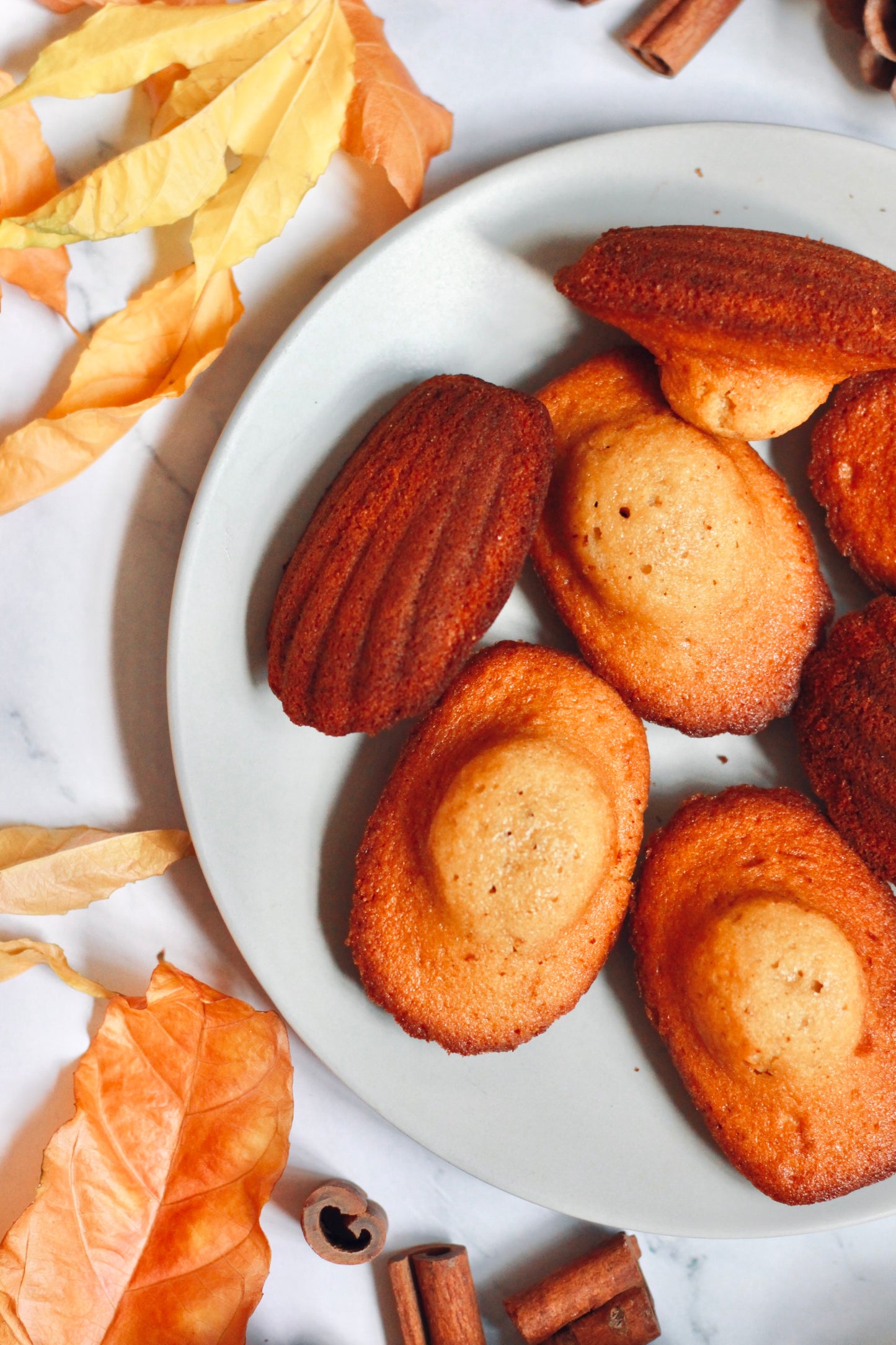 Madeleines Gift Box - Box of 9 Madeleines