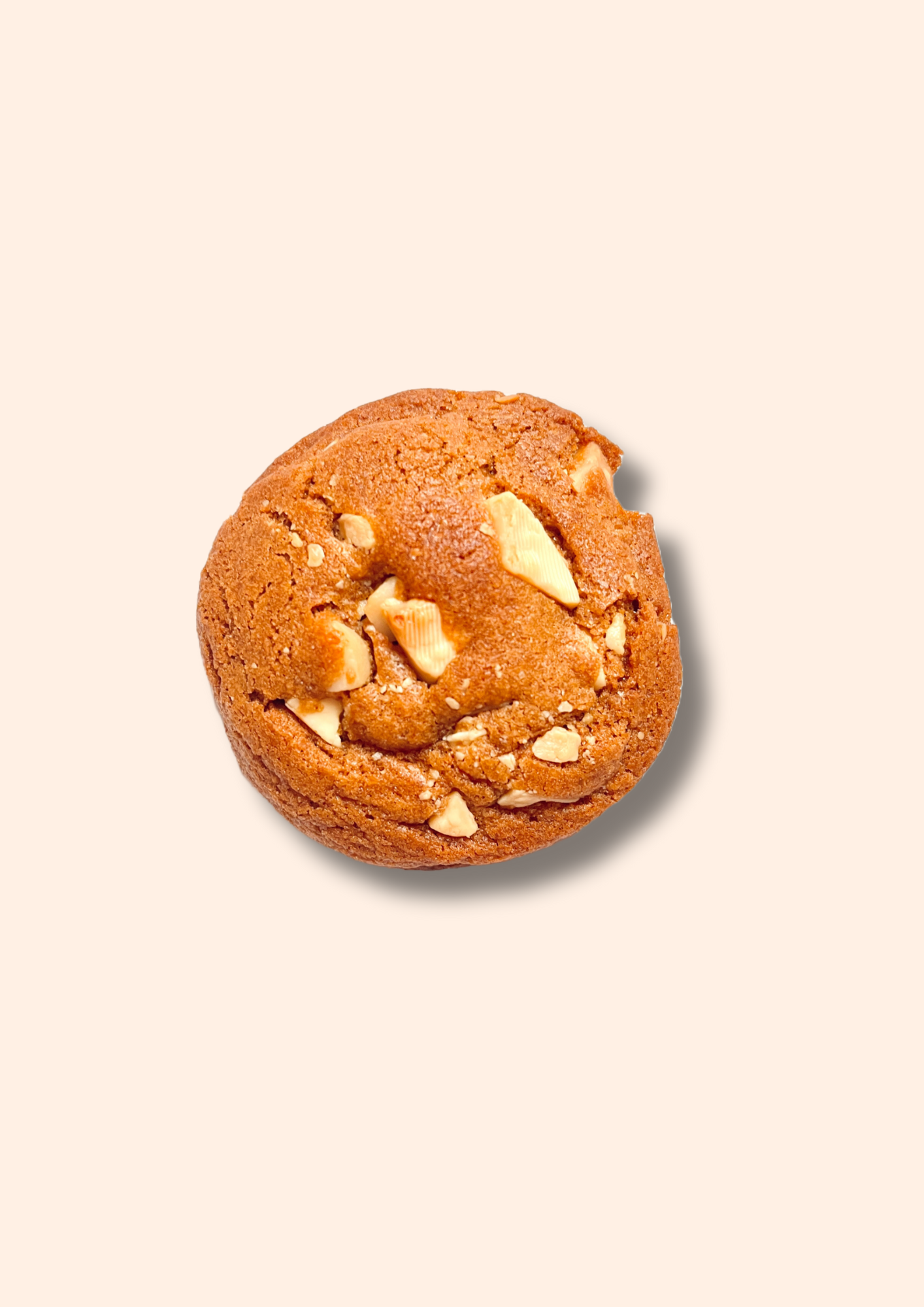 Mailbox Cookie - Single Cookie